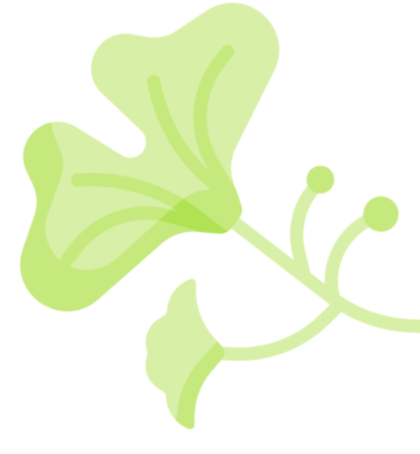 Recursos - Ginko 02