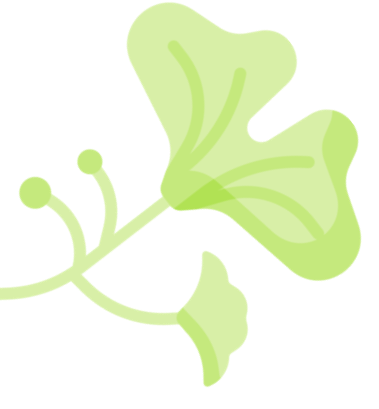 Recursos - Ginko 03